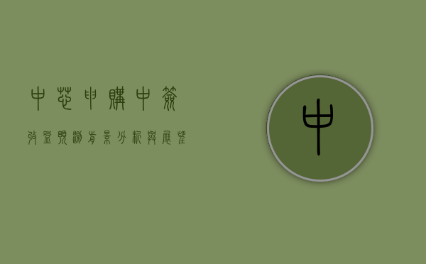中芯申购中签收益预测，前景分析与展望