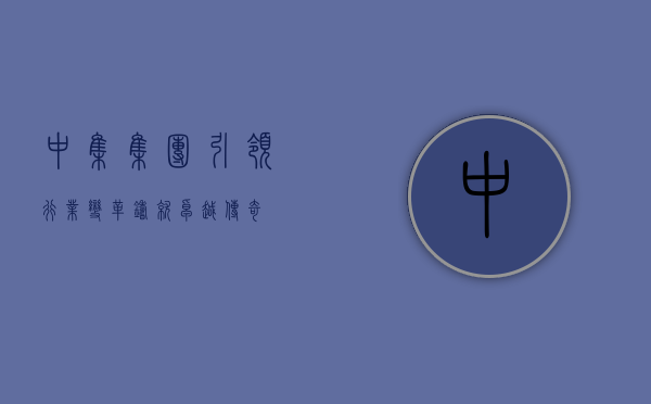 中集集团，引领行业变革，铸就卓越传奇