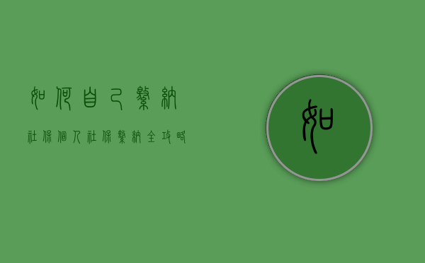 如何自己缴纳社保，个人社保缴纳全攻略