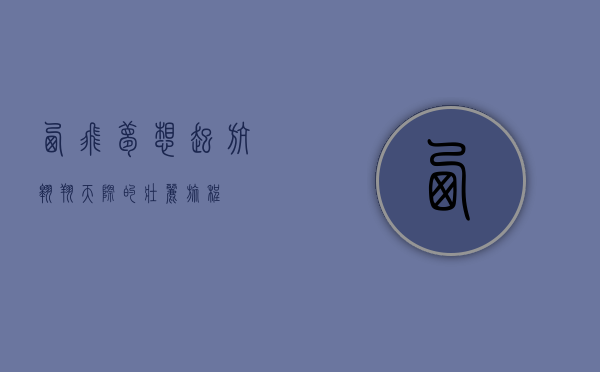 西飞，梦想起航，翱翔天际的壮丽旅程