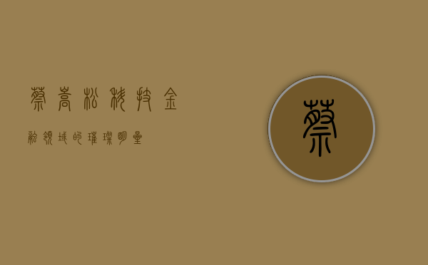 蔡嵩松，科技金融领域的璀璨明星