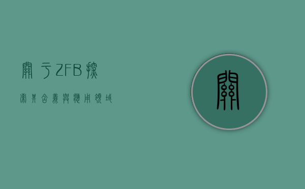 关于ZFB，探索其含义与应用领域