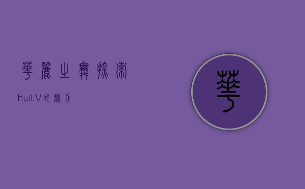 华丽之舞，探索HuiLV的魅力