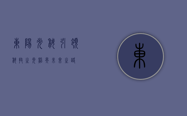 东阳光科，引领科技之光，照亮未来之路