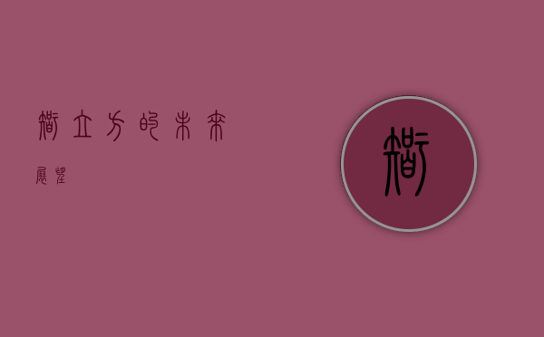 智立方的未来展望