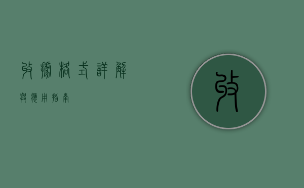 收据格式详解与应用指南