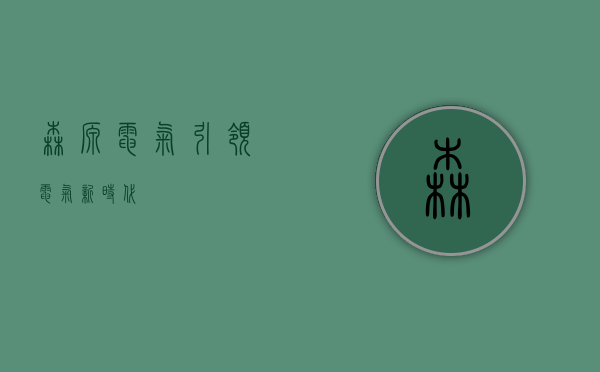 森源电气，引领电气新时代