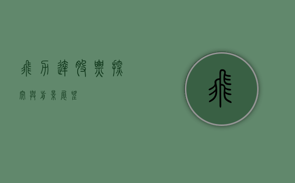 飞力达股票，探究与前景展望