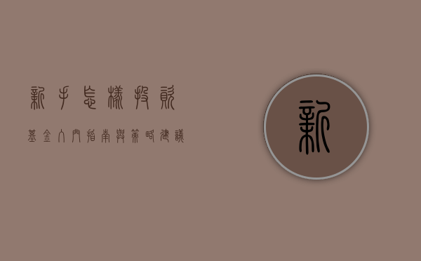 新手怎样投资基金，入门指南与策略建议