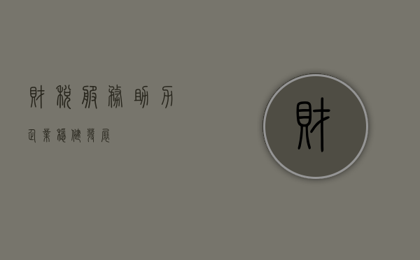 财税服务，助力企业稳健发展