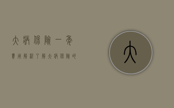 大病保险一年费用解析，了解大病保险的价格及其重要性