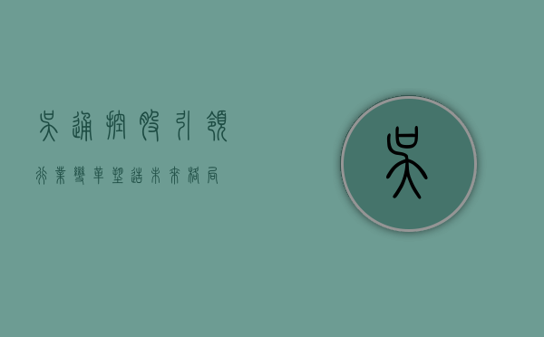 吴通控股，引领行业变革，塑造未来格局