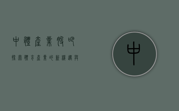 中体产业股吧，探索体育产业的新机遇与挑战