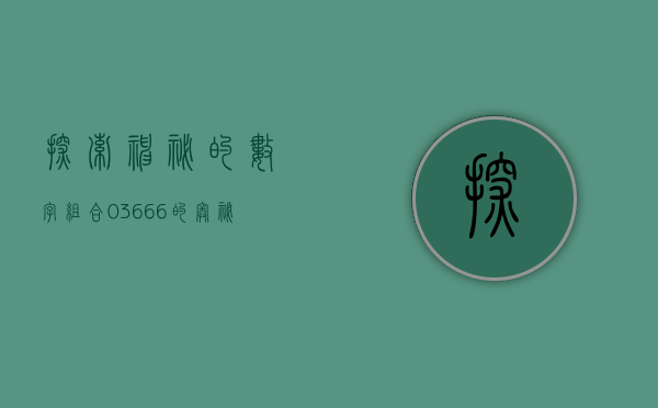 探索神秘的数字组合，03666的奥秘与启示