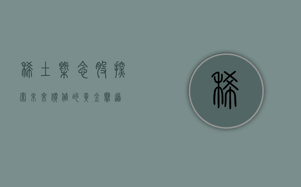 稀土概念股，探索未来价值的黄金赛道