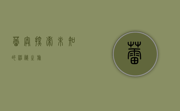 蕾奥,探索未知的神秘之旅
