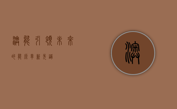 澳能，引领未来的能源革新先锋