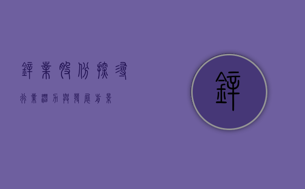 锌业股份，探寻行业潜力与发展前景