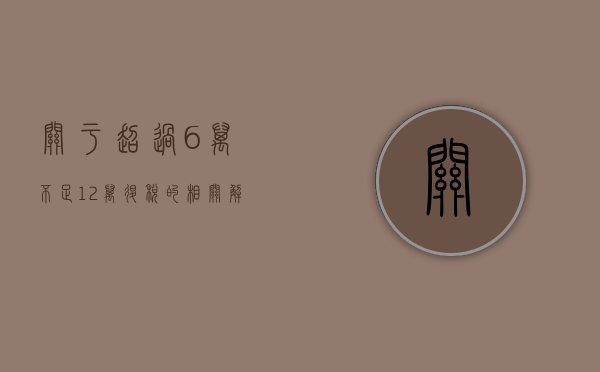 关于超过6万不足12万退税的相关解读