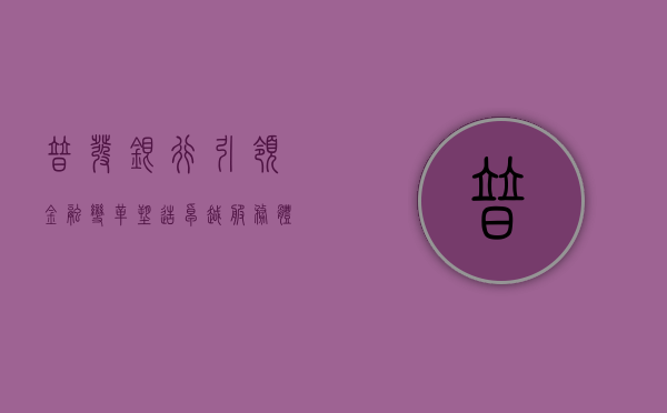 普发银行，引领金融变革，塑造卓越服务