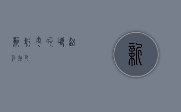 新城市的崛起与挑战