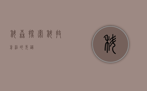 科森，探索科技前沿的先锋