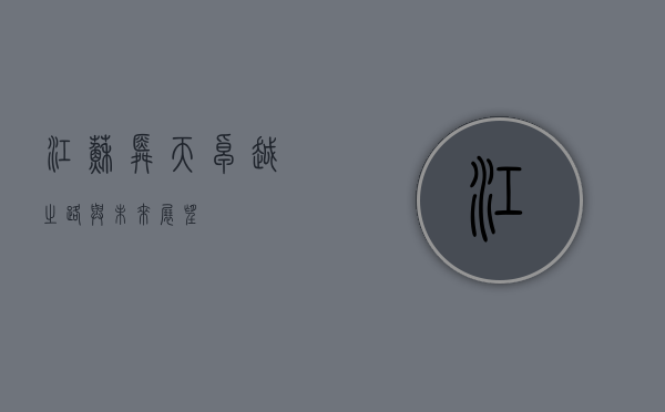 江苏舜天，卓越之路与未来展望
