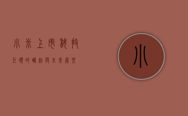 小米上市，科技巨头的崛起与未来展望