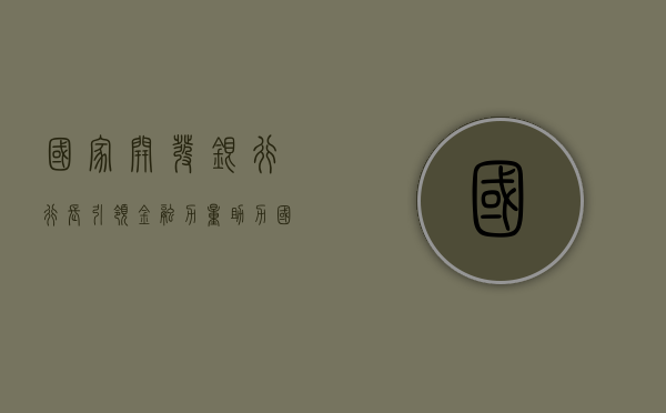 国家开发银行行长，引领金融力量，助力国家发展
