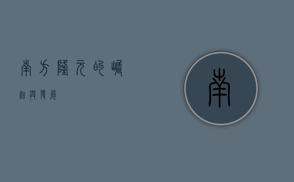 南方隆元的崛起与发展
