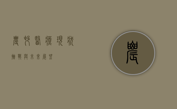 农村医疗，现状、挑战与未来展望
