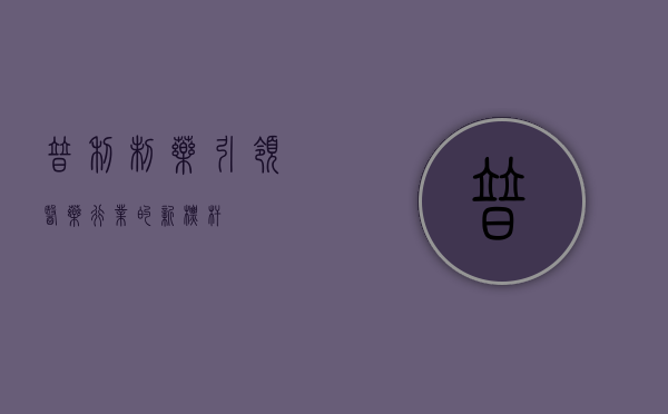 普利制药，引领医药行业的新标杆