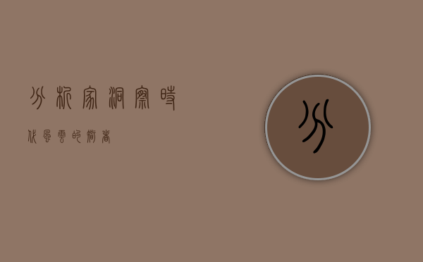 分析家，洞察时代风云的智者