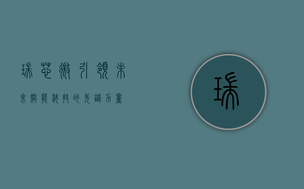 瑞芯微,引领未来智能科技的先锋力量