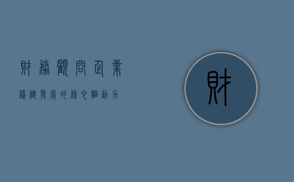 财务顾问，企业稳健发展的核心力量