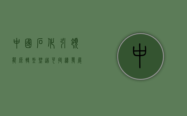 中国石化，引领能源转型，塑造可持续发展未来