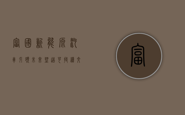 富国新能源汽车,引领未来,塑造可持续交通生态