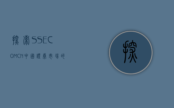 探索SSE.COM.CN，中国证券市场的重要门户