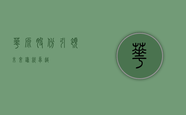 华源股份，引领未来，铸就卓越