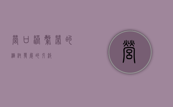 营口港，繁荣的枢纽，发展的引擎
