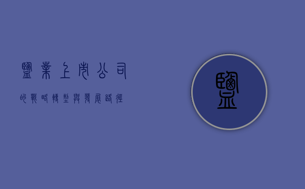 盐业上市公司的战略转型与发展路径