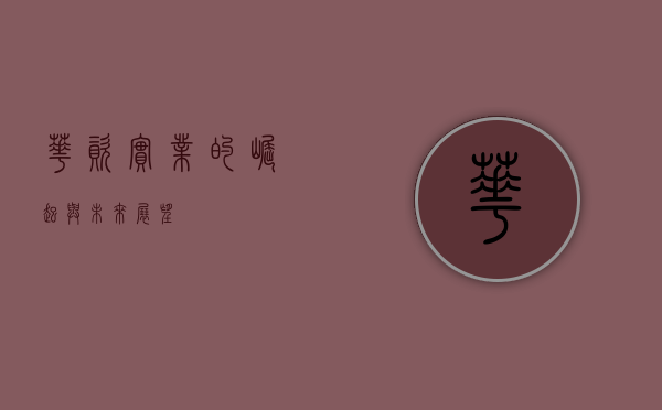 华资实业的崛起与未来展望