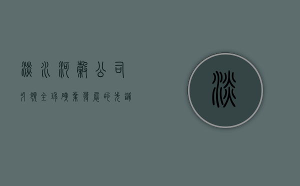 淡水河谷公司，引领全球矿业发展的先锋力量