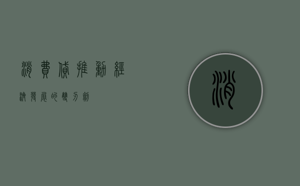 消费贷，推动经济发展的双刃剑