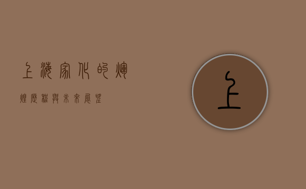 上海家化的辉煌历程与未来展望