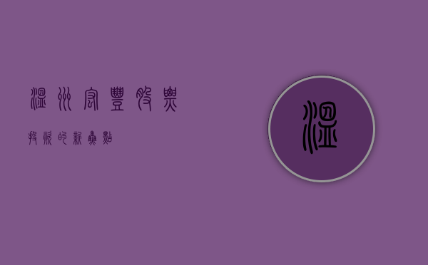 温州宏丰股票，投资的新焦点