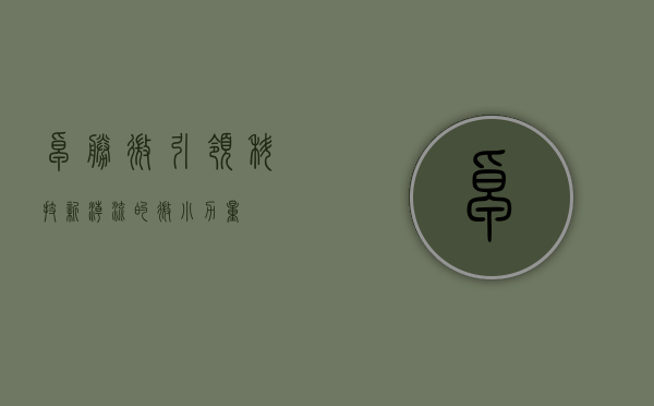 卓胜微，引领科技新潮流的微小力量