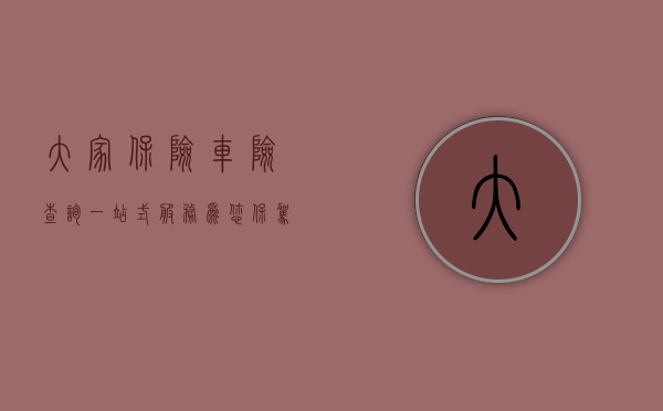 大家保险车险查询，一站式服务为您保驾护航