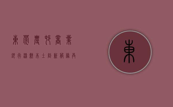 东莞农村商业银行，深耕本土，创新服务，共筑美好未来