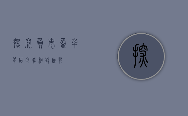 探究负市盈率背后的真相与挑战